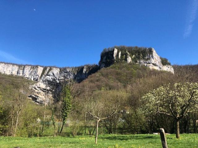 Gite De La Cascade Les Planches-pres-Arbois Экстерьер фото
